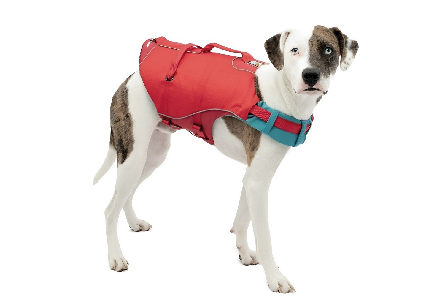 Dog life jacket Kurgo Surf N Turf red - LG Dog life jacket Kurgo Surf N Turf red - LG