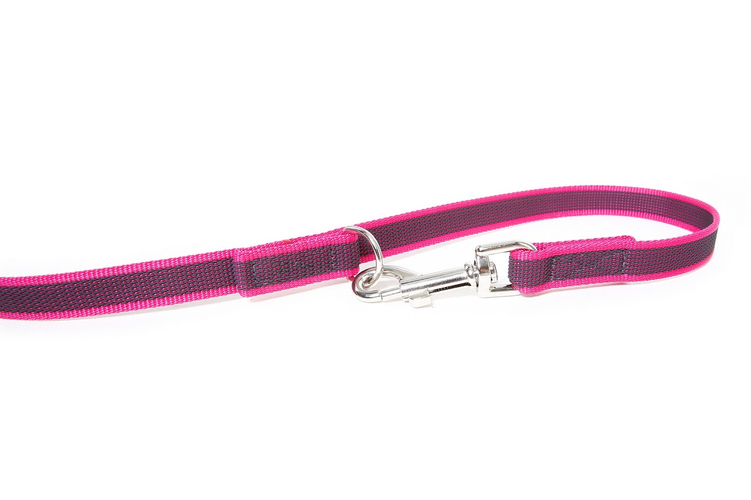 petsmart slip leash