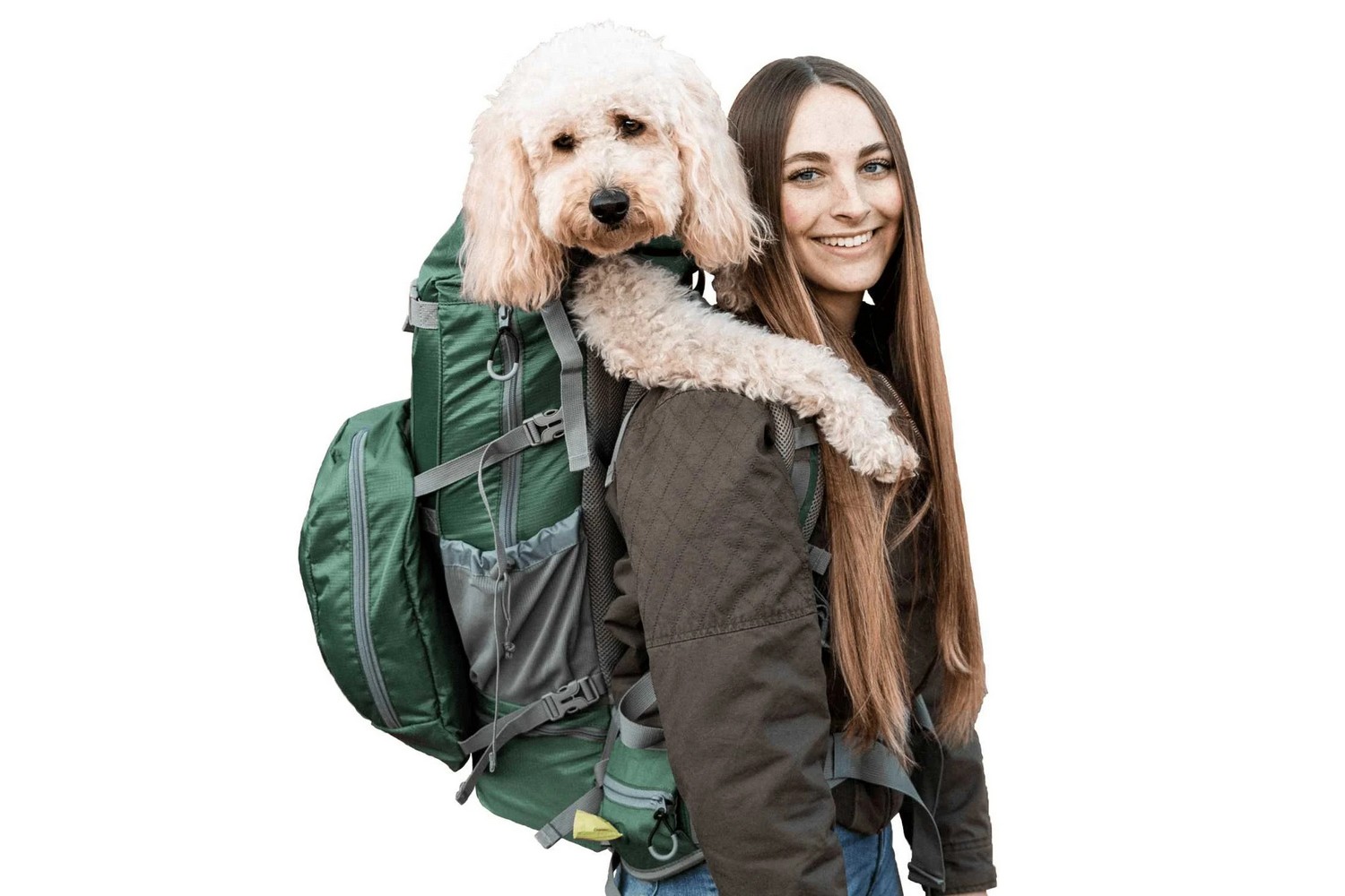 Dog backpack K9 Sport Sack Kolossus Myrtle Green L PetWareShop