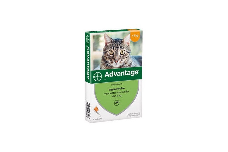 armoede Inwoner Absorberen Anti-insectmiddel Advantage 40 kat & kitten