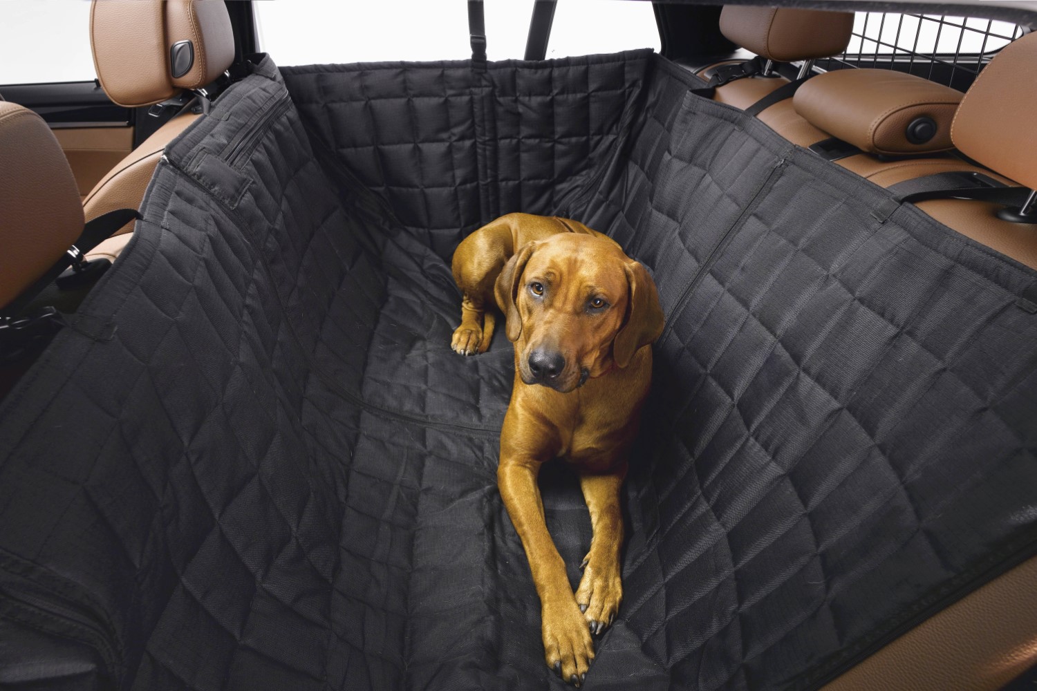 zitten Bedelen rib Hondendeken voor in de auto Kleinmetall Allside Comfort | PetWareShop